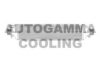 AUTOGAMMA 105296 Intercooler, charger